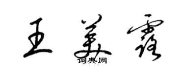 梁錦英王美露草書個性簽名怎么寫