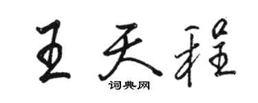 駱恆光王天程行書個性簽名怎么寫