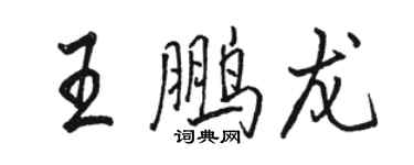 駱恆光王鵬龍行書個性簽名怎么寫