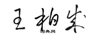 駱恆光王柏成草書個性簽名怎么寫