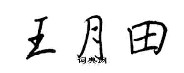 王正良王月田行書個性簽名怎么寫