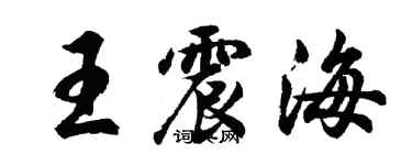胡問遂王震海行書個性簽名怎么寫