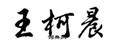 胡問遂王柯晨行書個性簽名怎么寫