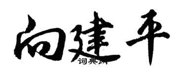 胡問遂向建平行書個性簽名怎么寫
