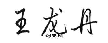 駱恆光王龍丹行書個性簽名怎么寫