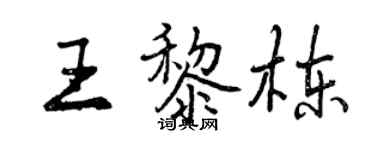 曾慶福王黎棟行書個性簽名怎么寫