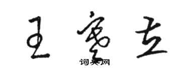 駱恆光王寒立草書個性簽名怎么寫