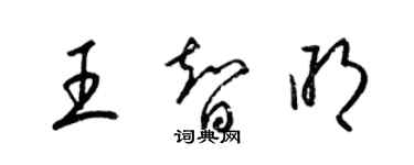 梁錦英王智明草書個性簽名怎么寫