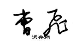 朱錫榮曹飛草書個性簽名怎么寫