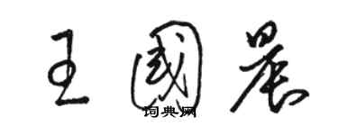 駱恆光王國晨草書個性簽名怎么寫