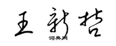 梁錦英王新哲草書個性簽名怎么寫