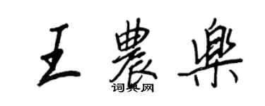 王正良王農樂行書個性簽名怎么寫