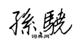 王正良孫驍行書個性簽名怎么寫