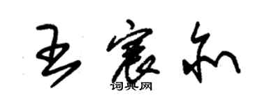 朱錫榮王宸亦草書個性簽名怎么寫