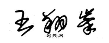 朱錫榮王翔峰草書個性簽名怎么寫