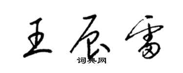 梁錦英王辰雷草書個性簽名怎么寫