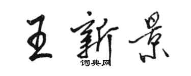 駱恆光王新景行書個性簽名怎么寫