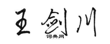 駱恆光王劍川行書個性簽名怎么寫
