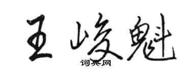 駱恆光王峻魁行書個性簽名怎么寫
