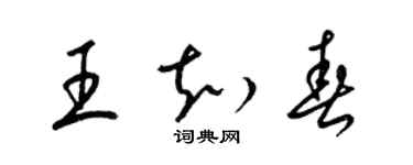 梁錦英王知春草書個性簽名怎么寫