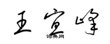 梁錦英王宜峰草書個性簽名怎么寫