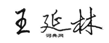 駱恆光王延林行書個性簽名怎么寫