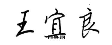 王正良王宜良行書個性簽名怎么寫