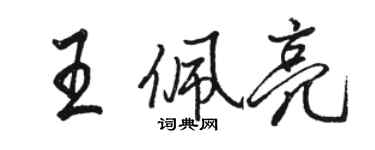 駱恆光王佩亮行書個性簽名怎么寫