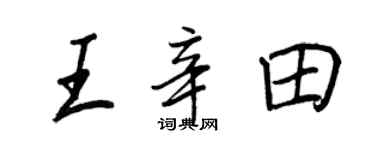 王正良王辛田行書個性簽名怎么寫