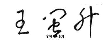 駱恆光王閩升草書個性簽名怎么寫