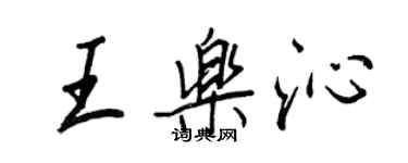 王正良王樂沁行書個性簽名怎么寫