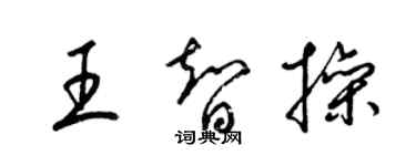 梁錦英王智操草書個性簽名怎么寫
