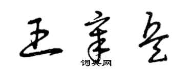 曾慶福王章兵草書個性簽名怎么寫