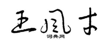 曾慶福王風才草書個性簽名怎么寫