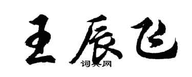 胡問遂王辰飛行書個性簽名怎么寫