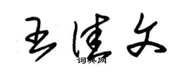 朱錫榮王佳文草書個性簽名怎么寫