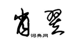 朱錫榮肖翌草書個性簽名怎么寫