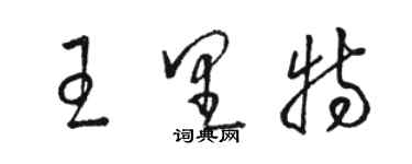 駱恆光王里特草書個性簽名怎么寫