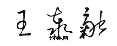 駱恆光王泰融草書個性簽名怎么寫