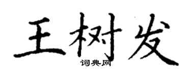 丁謙王樹發楷書個性簽名怎么寫