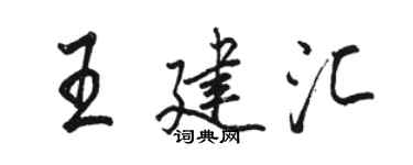 駱恆光王建匯行書個性簽名怎么寫