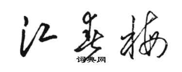 駱恆光江春梅草書個性簽名怎么寫