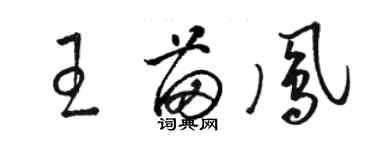 駱恆光王苗鳳草書個性簽名怎么寫