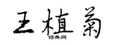 曾慶福王植菊行書個性簽名怎么寫