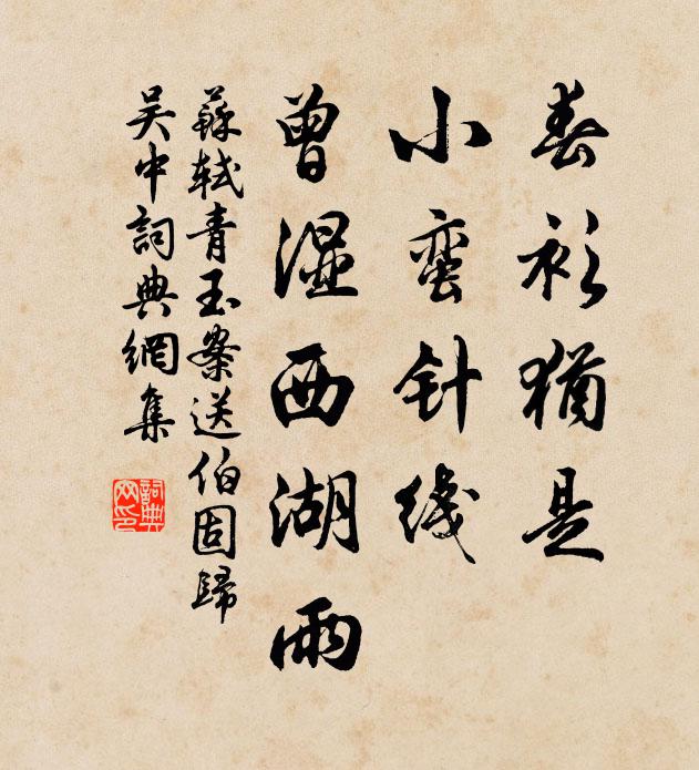 蘇軾春衫猶是,小蠻針線,曾濕西湖雨。書法作品欣賞