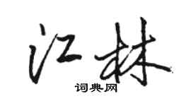 駱恆光江林行書個性簽名怎么寫