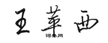 駱恆光王苹西行書個性簽名怎么寫