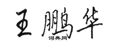 駱恆光王鵬華行書個性簽名怎么寫