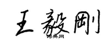 王正良王毅剛行書個性簽名怎么寫