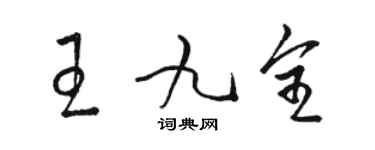 駱恆光王九全草書個性簽名怎么寫